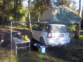 Australia (Barrington Tops)